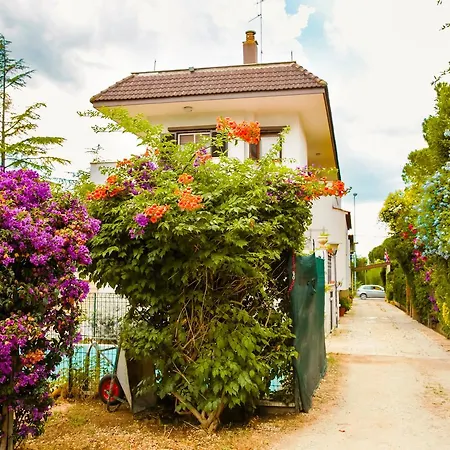 Santa Fara Bed and breakfast Bari