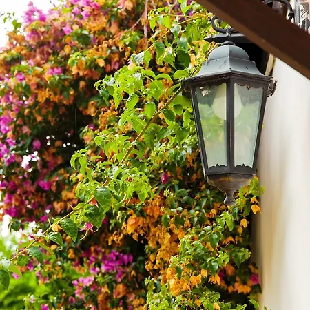 Bed & Breakfast Santa Fara 3*